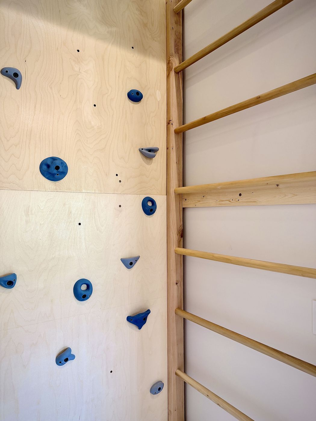 Blue climbing holds wooden ladder detail