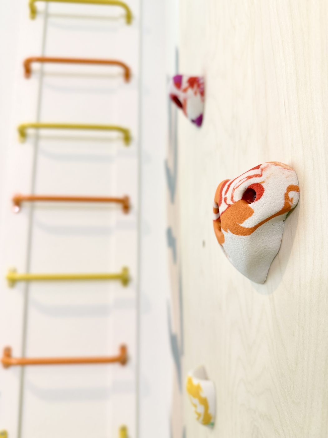 Colorful climbing hold detail